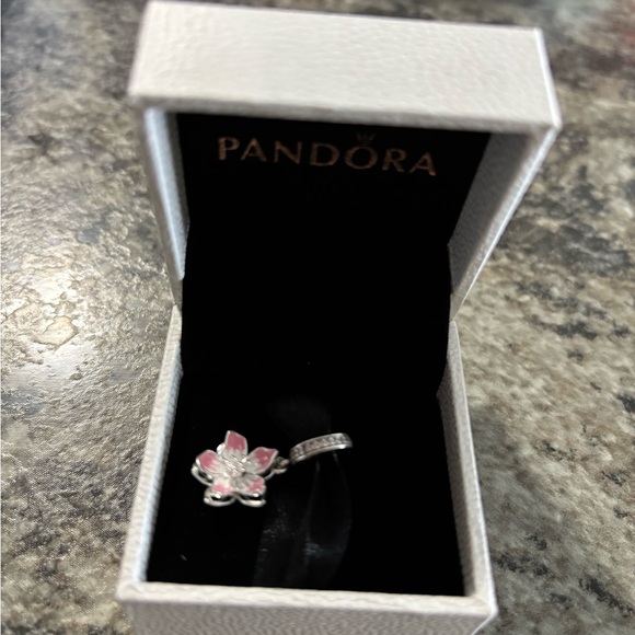 Charm - Picture 1 of 1